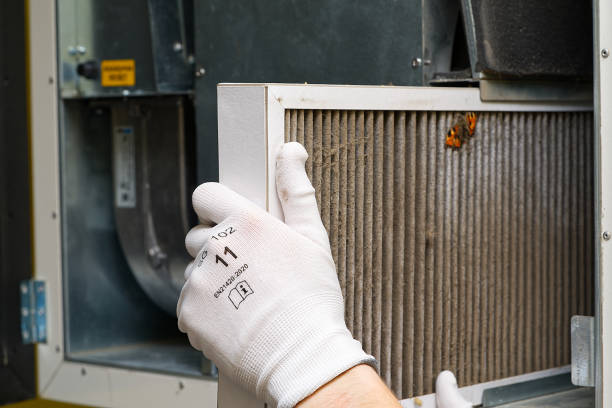 Best Affordable Air Duct Cleaning  in Alpena, MI