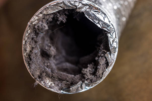 Best Air Duct Cleaning Company Near Me  in Alpena, MI